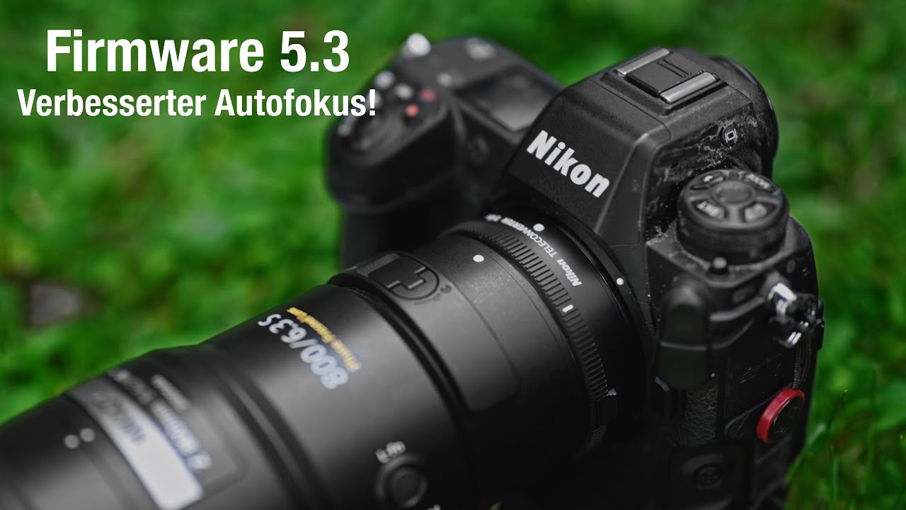 Z9 Firmware 5.3 - Die wichtigsten Änderungen für die Tierfotografie