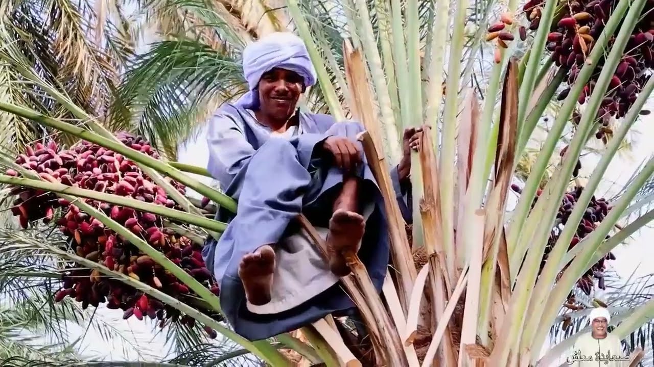 الطفل ادم يقلد مقطع من حلقة خميس وجمعة 😍😍😍