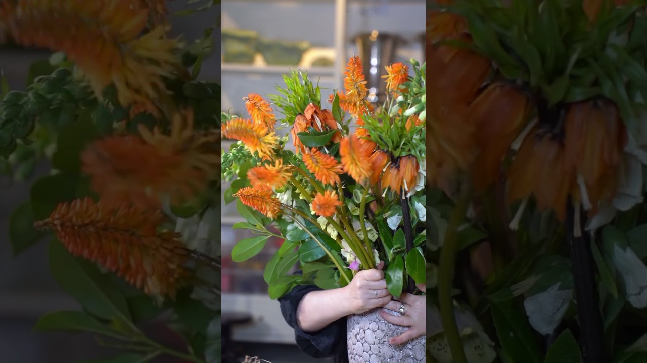 Creating a super-tall vase arrangement with Gemma 🧡🌿 #florist #flower #flowerarranging