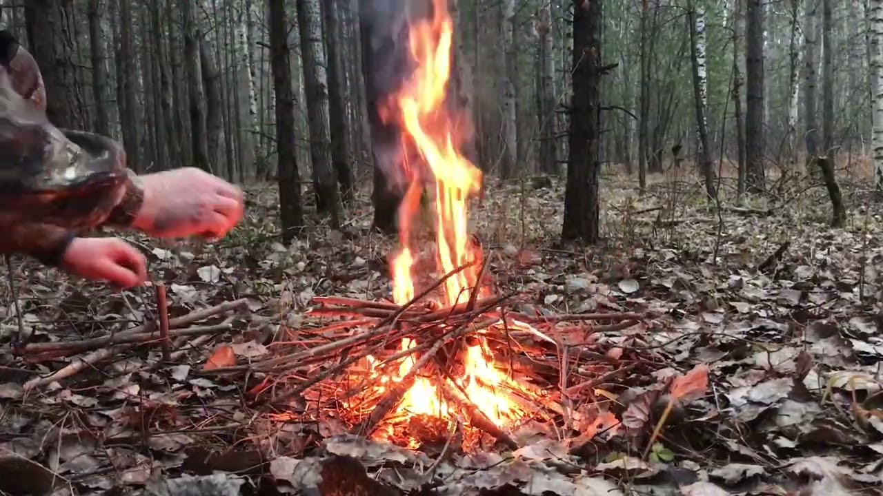 Lighting a Campfire in a Misty Autumn Forest – Relaxing Crackling Fire Sounds