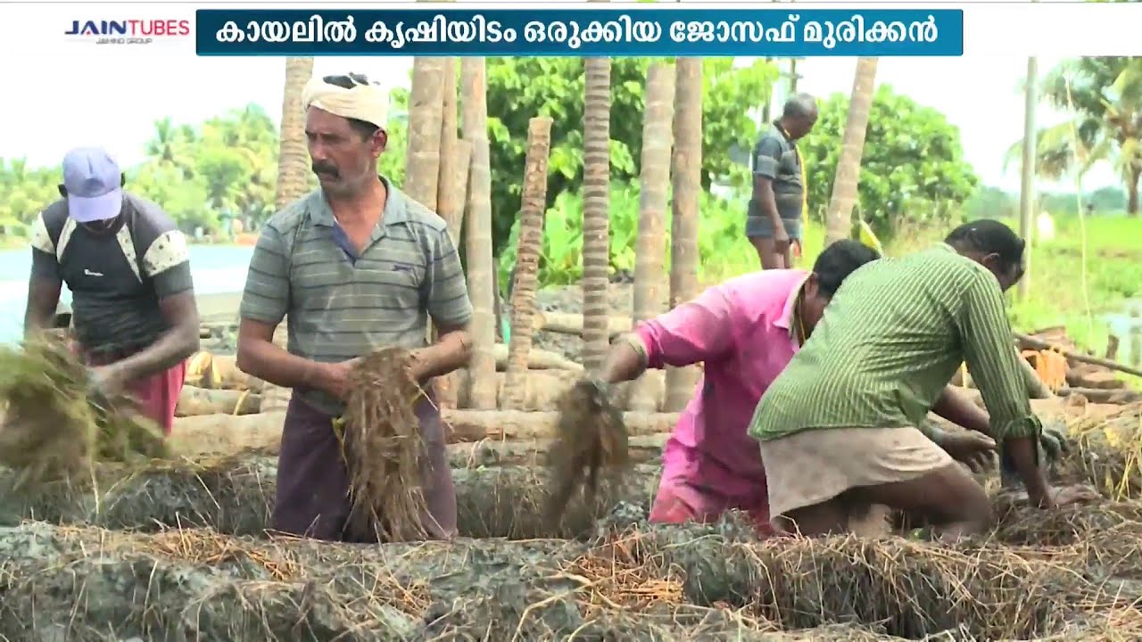 കായലിൽ കൃഷിയിടം ഒരുക്കിയ ജോസഫ് മുരിക്കന്‍റെ കഥ; ചരിത്രം പറഞ്ഞ് കുട്ടനാട്ടിലെ മുരിക്കന്‍റെ വീട്