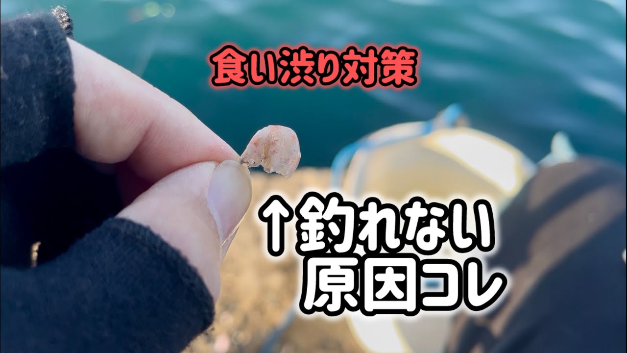 【フカセ釣り】冬に釣れない人が「最初に間違えること」4選