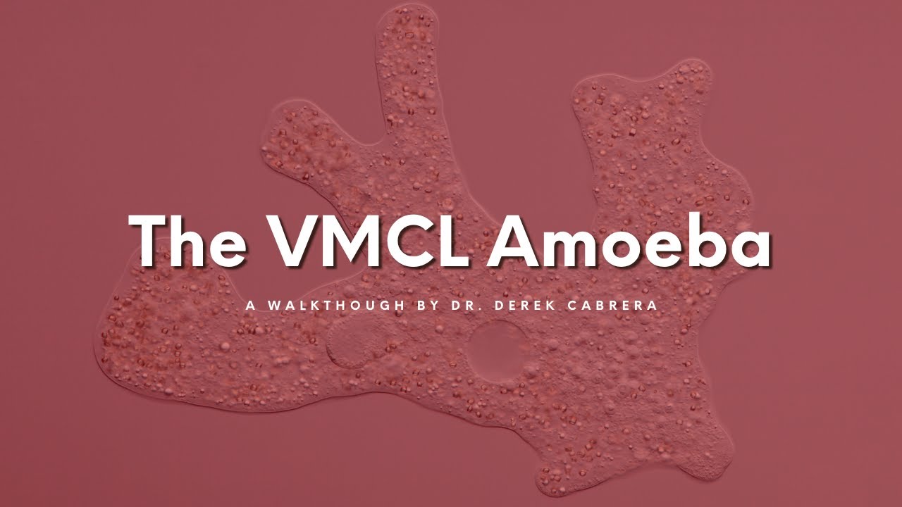 Dr. Derek Cabrera explains VMCL Theory with the 