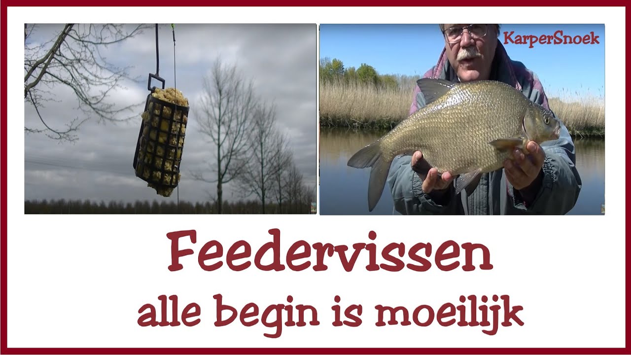 FEEDEREN met pensionado op BRASEM | 2016 deel 1