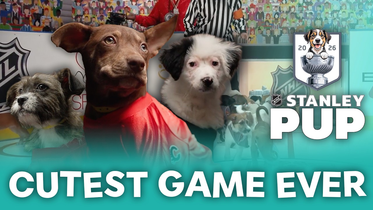 2026 Stanley Pup | Cutest Puppies You've Ever Seen!