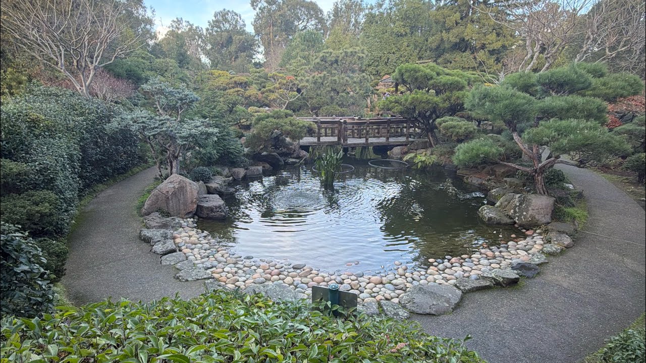 The Japanese Gardens Hayward California
