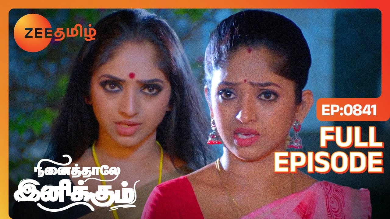 Bommiதான் பாப்பானு நெனச்சேன், விஷயம் வேற என்னமோ | Ninaithale Inikkum | Latest Full Ep 841| Zee Tamil