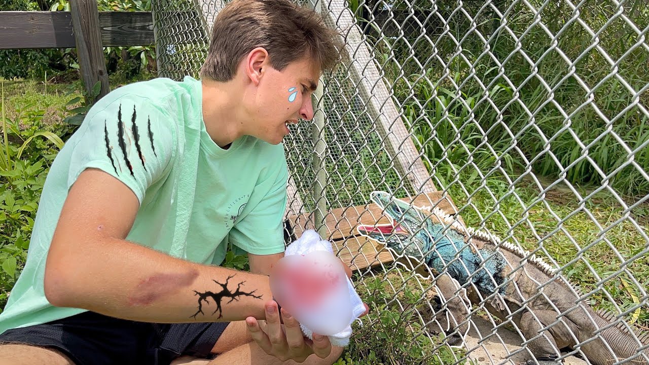 MY ANIMALS ATTACKED & SENT ME TO THE HOSPITAL !