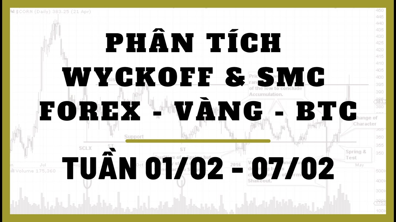 ✅Ph&acirc;n T&iacute;ch FOREX - V&Agrave;NG - BITCOIN Tuần 01/02-07/02 Theo Phương Ph&aacute;p WYCKOFF & SMC | TraderViet