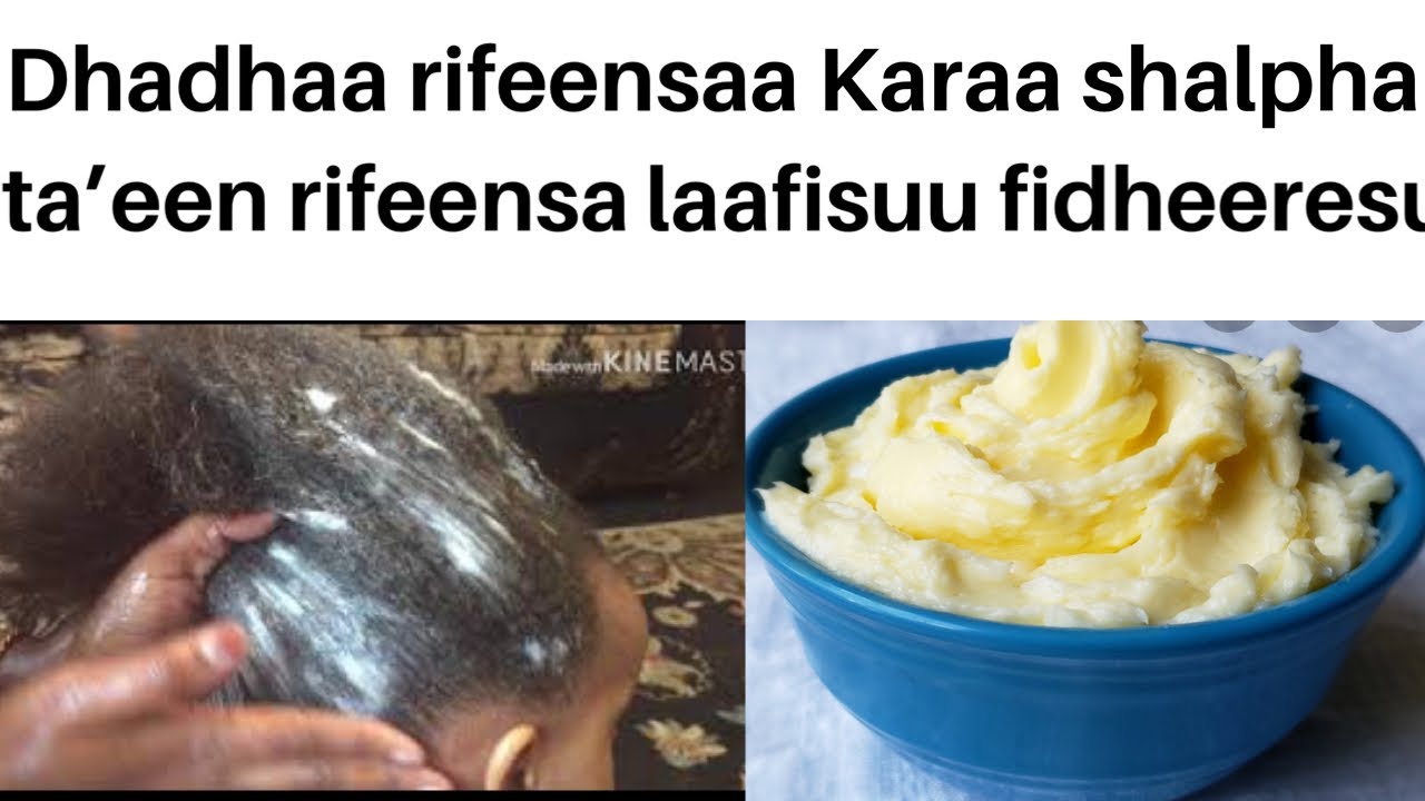 Dhadhaa rifeensaa karaa shalphaa ta’een rifeensa nuf dheeresuf nuf laafisu 💯👌
