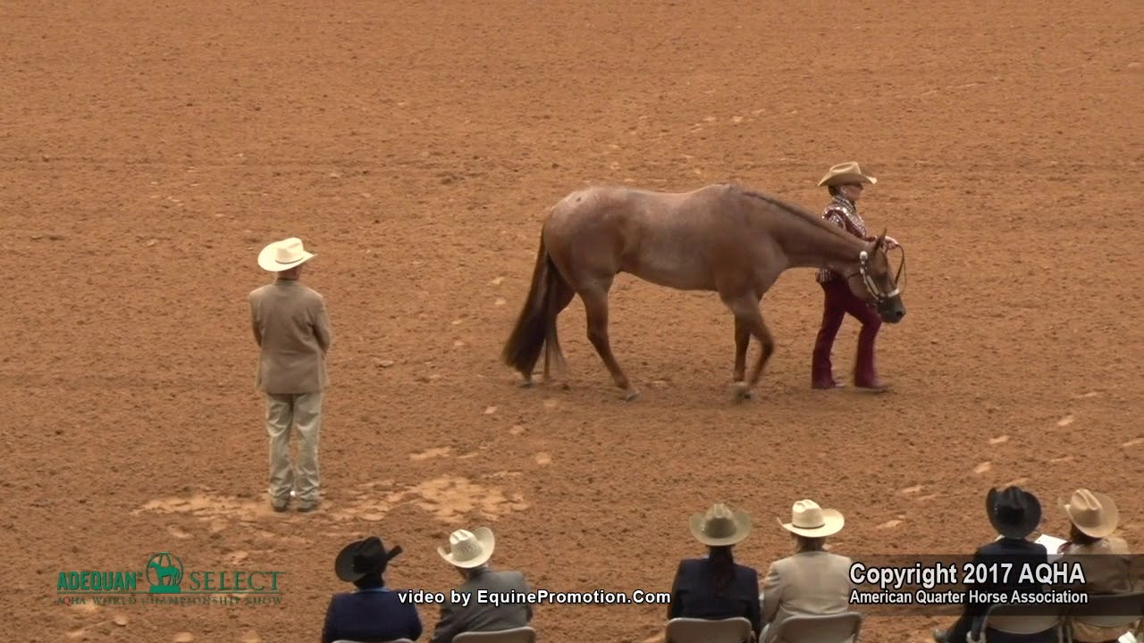A Judge's Perspective: 2017 AQHA Select Showmanship World Champion