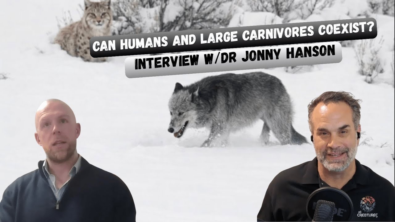 Can Humans and Large Carnivores Coexist? | Dr. Jonny Hanson