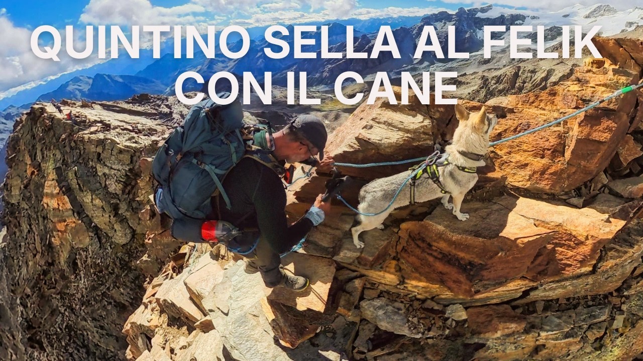 Salita al Rifugio Quintino Sella al Felik con il cane | Full ascent & real conditions