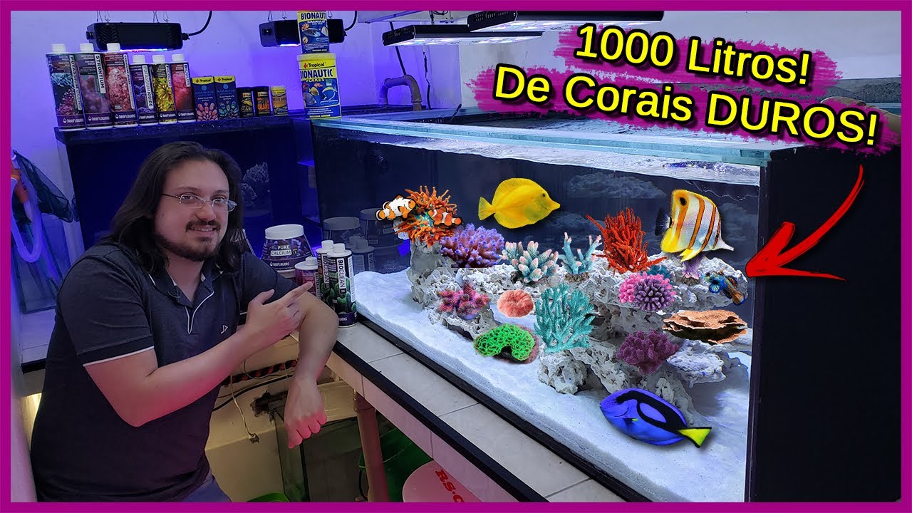 Montei um Aquário Marinho de 1000 litros EMBUTIDO de Corais DUROS!
