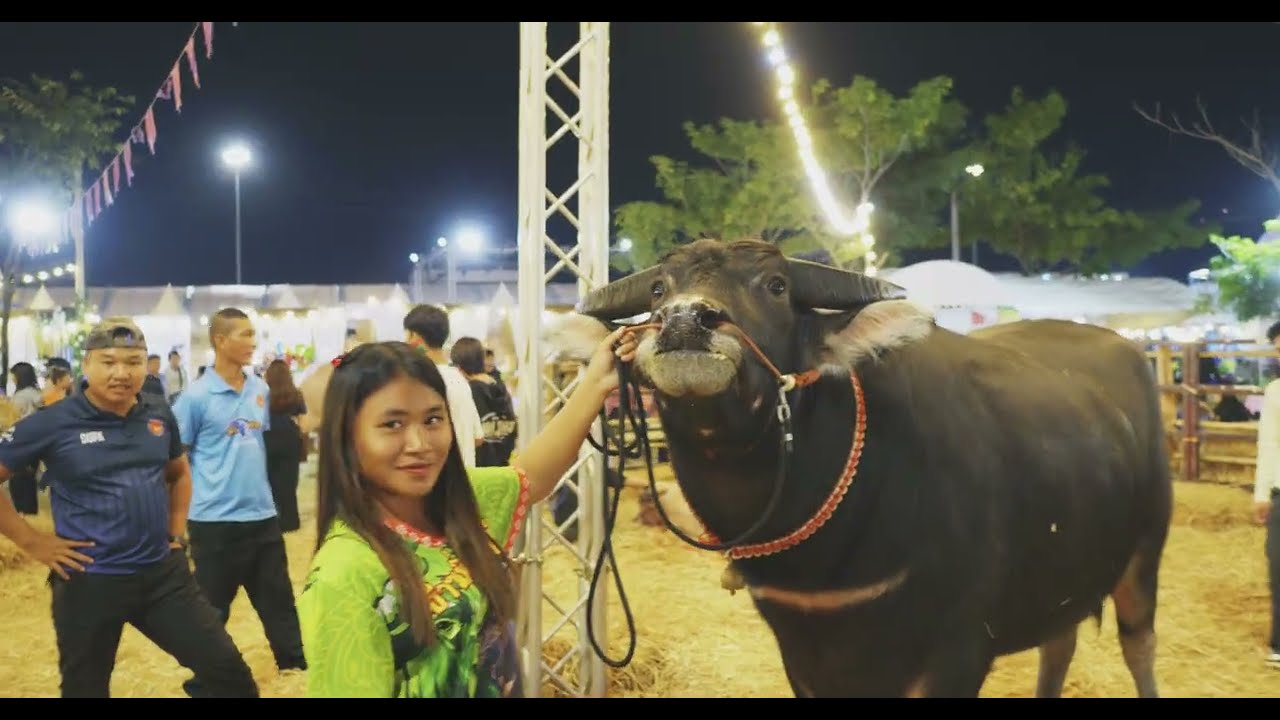 A Good Time in Udon Thani Thailand Isaan 🇹🇭 - Day 31