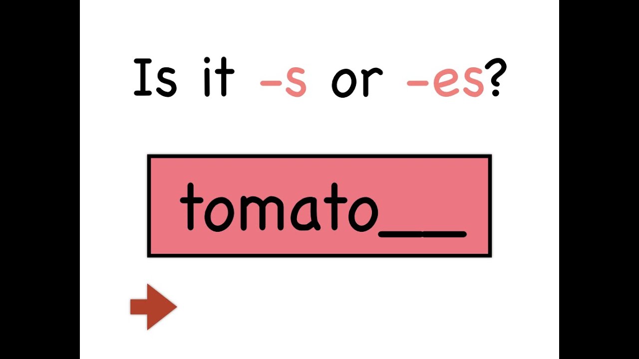 Spelling Quiz -s or -es? Which one is it?