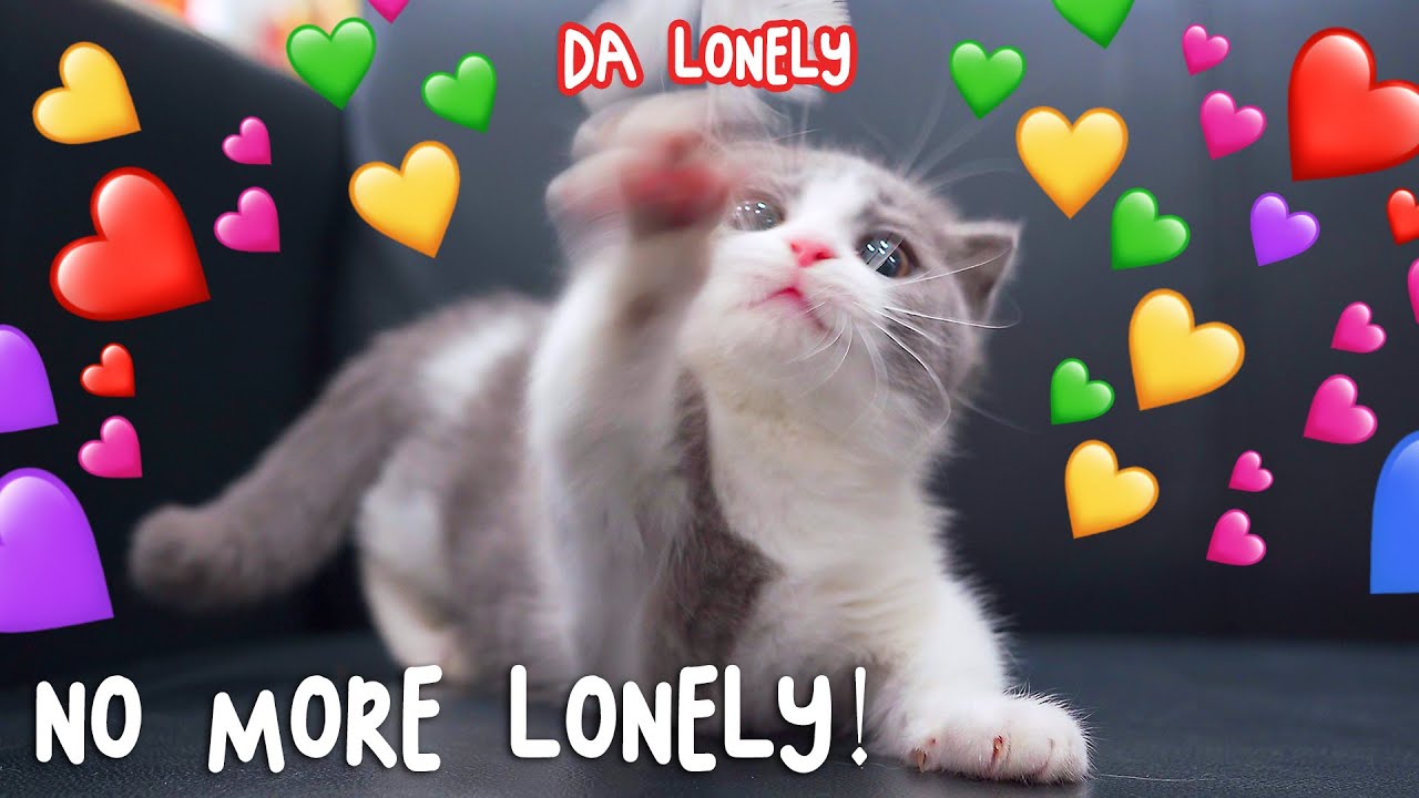 Send This To A Lonely Friend