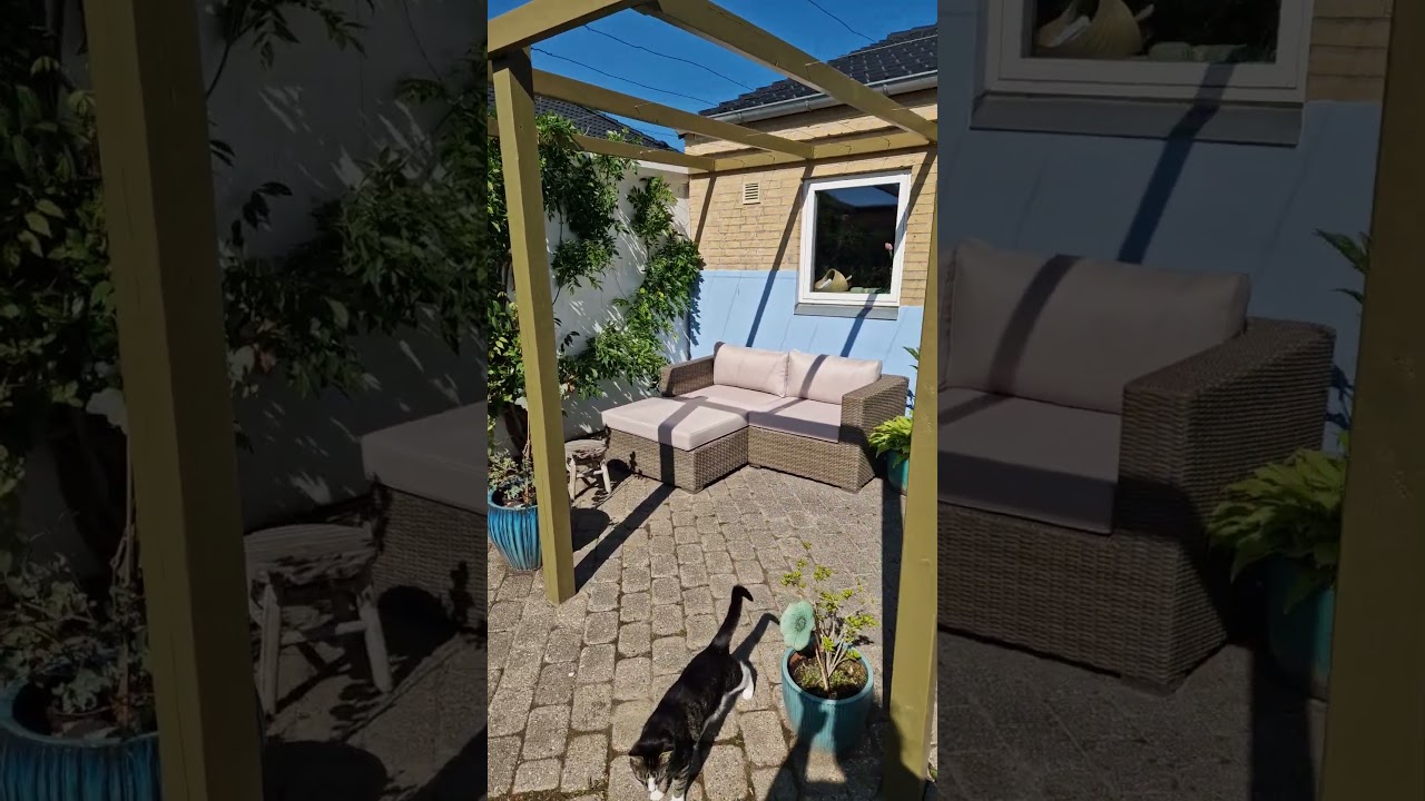Haven p&aring; Lille Grundet - pergolaen er f&aelig;rdig #shorts #gardening #haveliv #garden