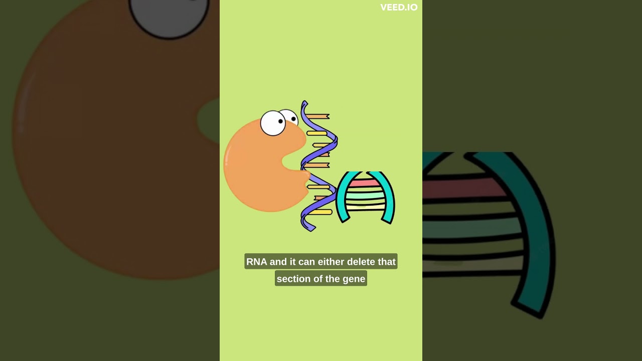 What is CRISPR?