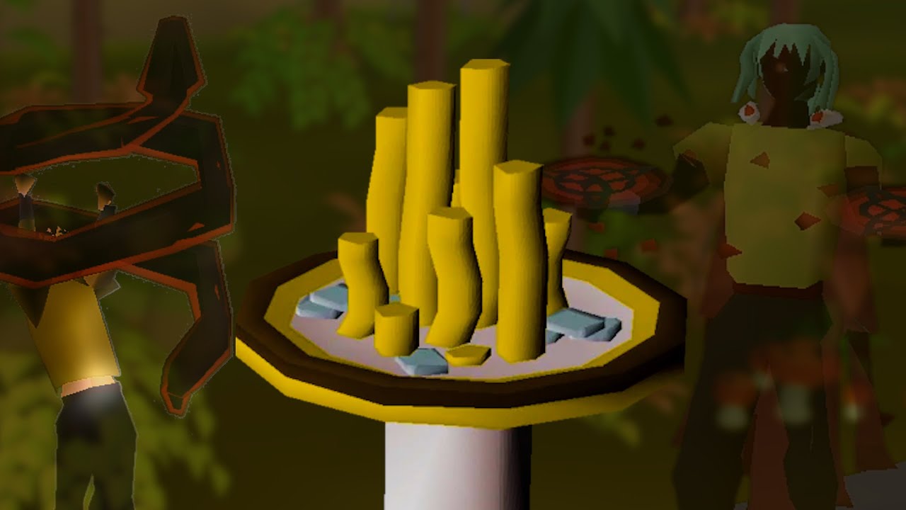 Staking my entire bank if i get a pet (in debt for a pet)