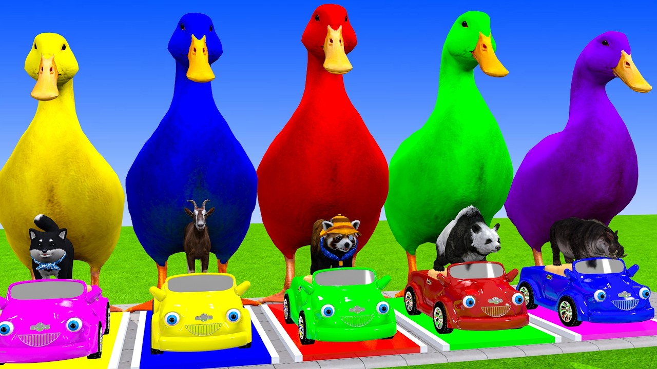Long Slide Game With Cow Elephant Gorilla Hippopotamus Tiger 3d Animal Game Funny 3d Animals