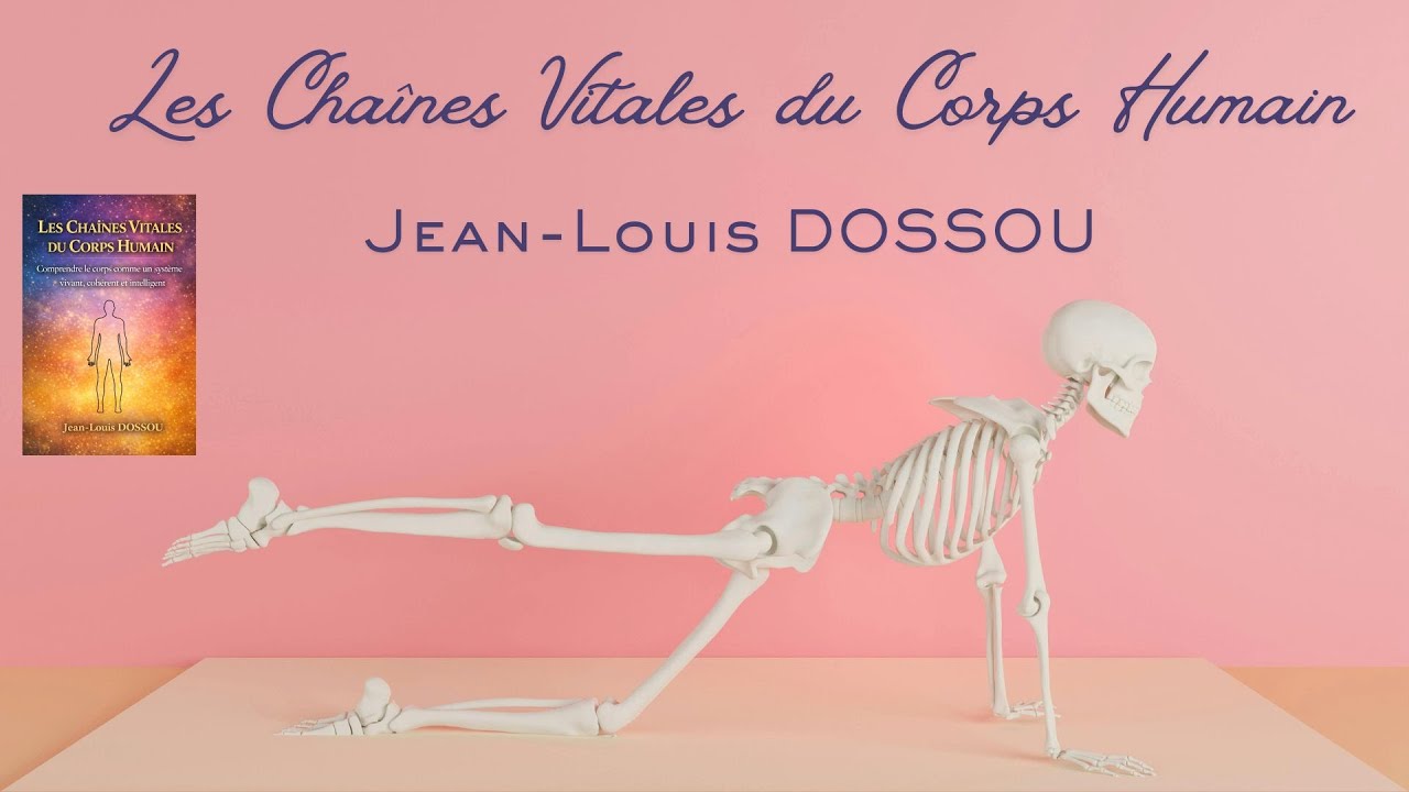 Les Chaînes Vitales du Corps Humain – Les 9 Fondations de la Santé | Live avec Jean-Louis DOSSOU