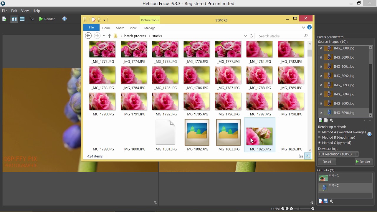 Helicon Focus - Batch processing mode