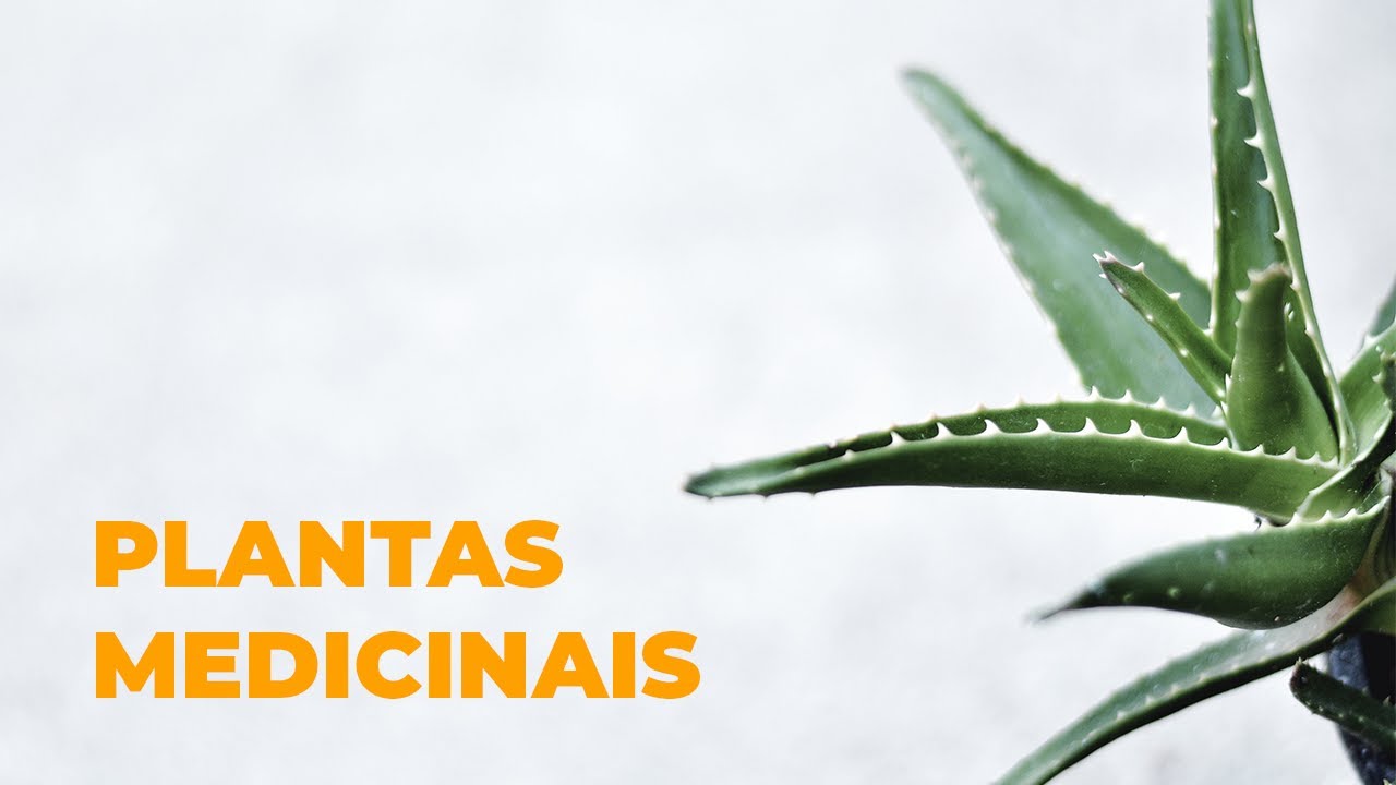 Traduzindo Ciência Ep. 01 - Plantas Medicinais