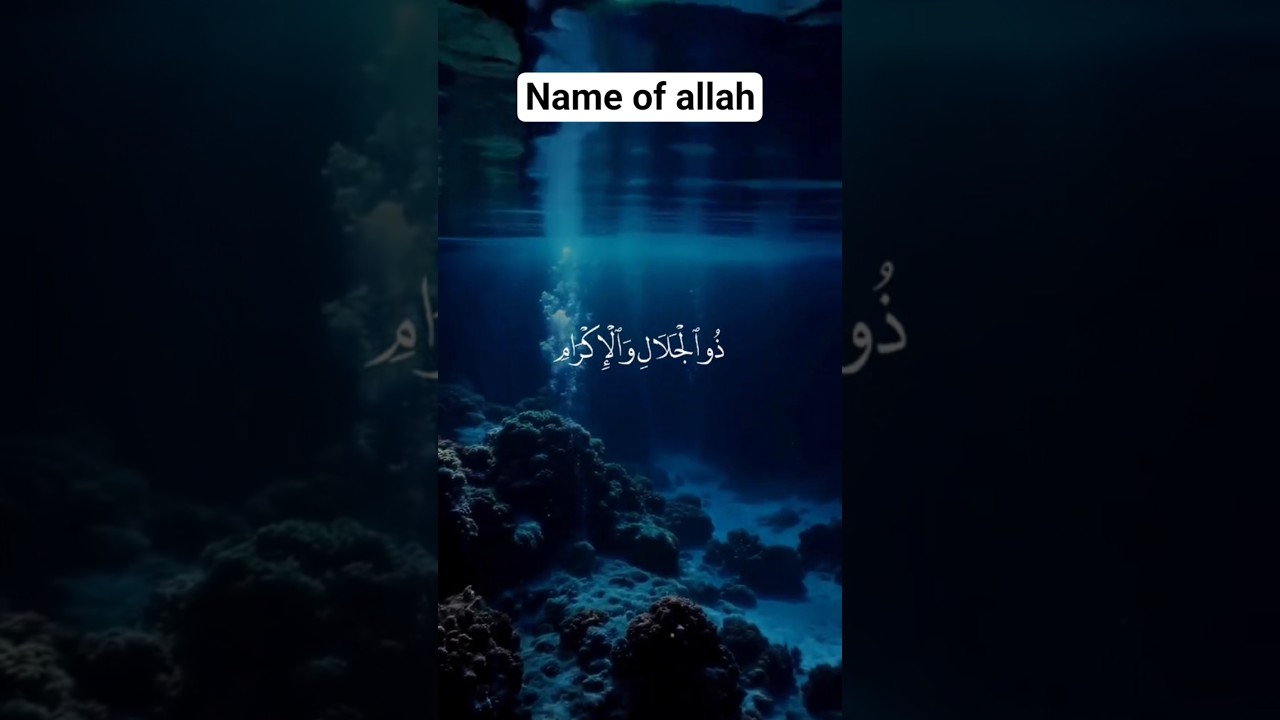 99 Name off my allah❤️❤️❤️plzz like and subcribe my channal .plzz sport me