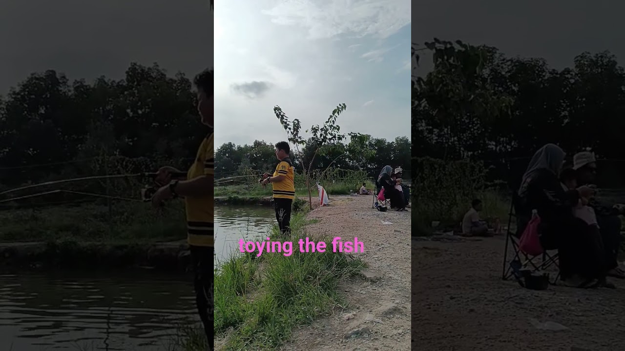 Toying 1kg white bass 