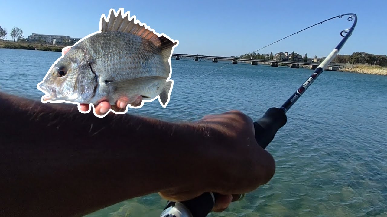I HOOKED A MONSTER! | Hunt For The 40cm Bream Episode 7