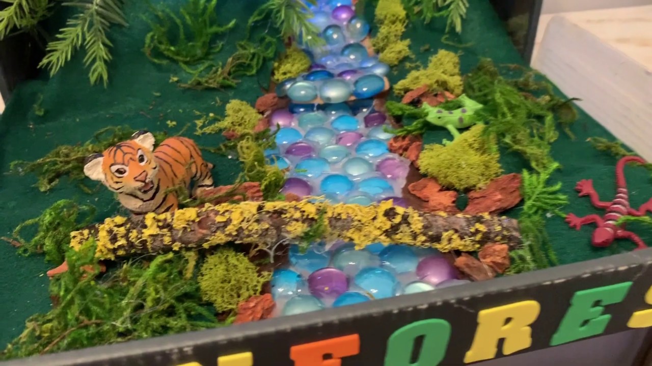Diorama School Project: Rainforest Habitat