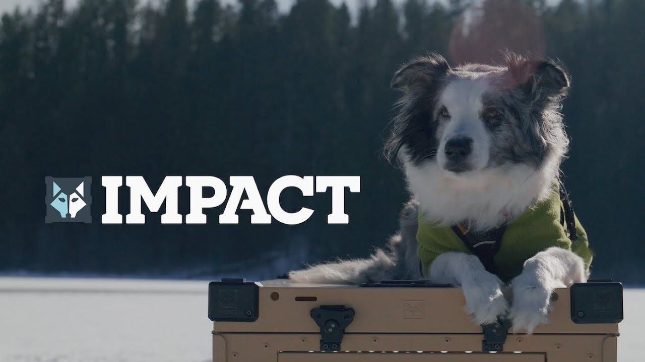 Impact Dog Crates: The Only Dog Crate You'll Ever Need, Guaranteed.
