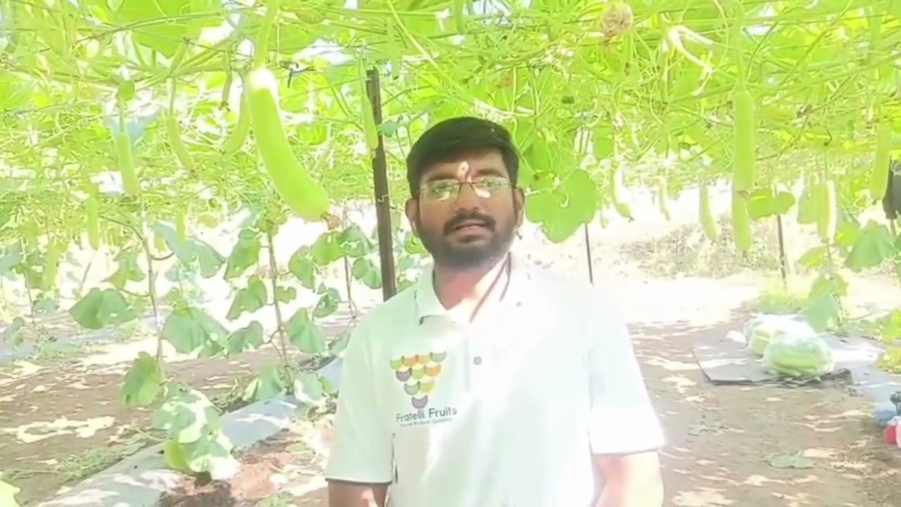 When Quality Becomes a Mission: A Young Farmer’s Journey to Residue-Free