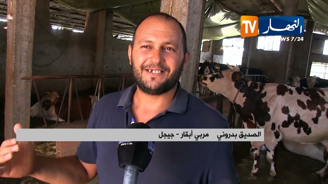 جيجل: الشروع في عملية التلقيح من اللقاح ضد مرض الجلد العقدي المعدي