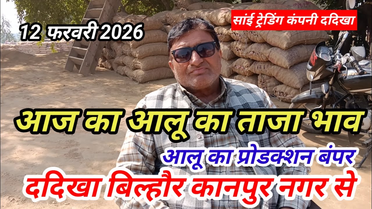 आज का आलू का ताजा भाव ददिखा बिल्हौर कानपुर नगर से