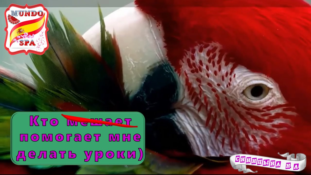 209. Кто мешает/помогает мне делать уроки )