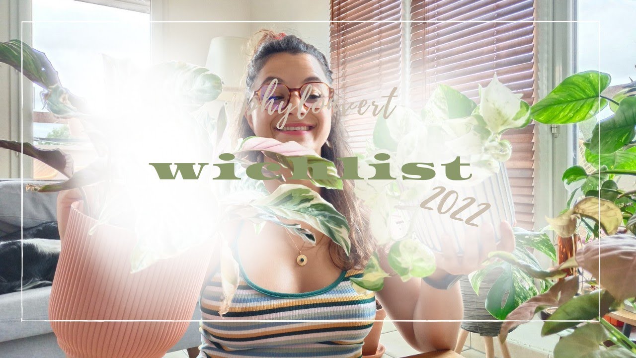 Je retrouve ma WISHLIST - toujours d'actualité ? 🍃🧐