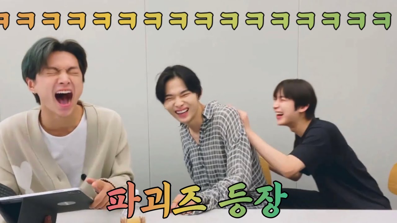 이 라이브의 정체성을 찾습니다