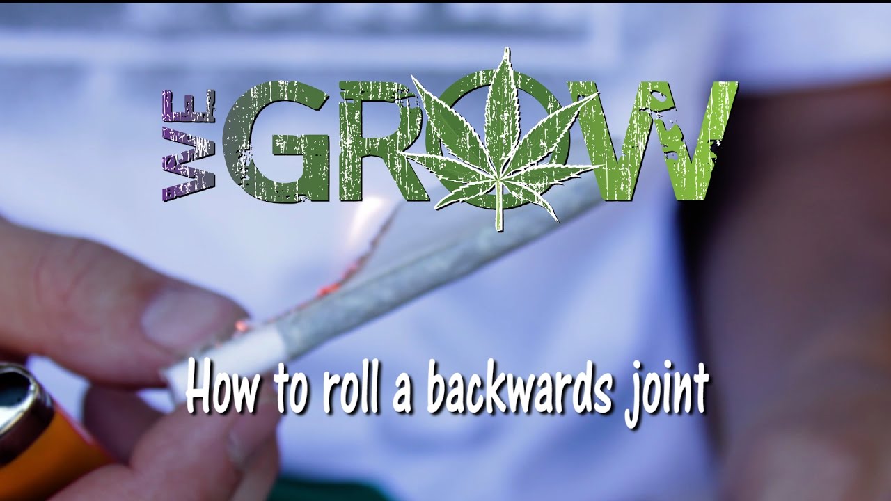 How To Roll A Backwards/inside out Joint In 10 Steps - We Grow Marijuana Tutorials
