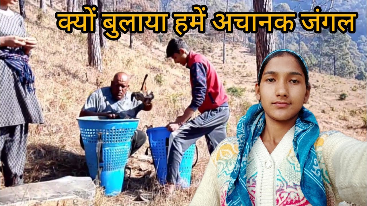दिन की  तेज धूप में जाना पड़ा इतनी दूर 😟|| Pahadi lifestyle vlog || Village life 
