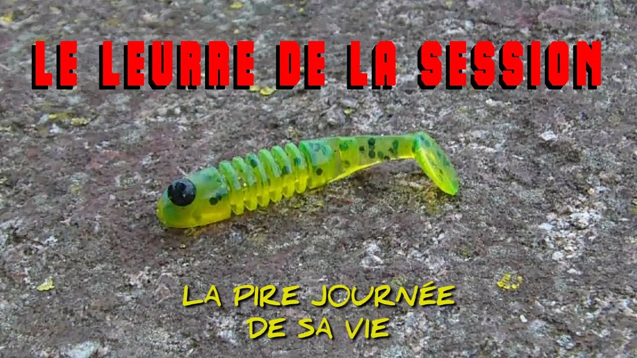 UNE HEURE, UN LEURRE, QUATRE ESPÈCES - DELALANDE SKELETON