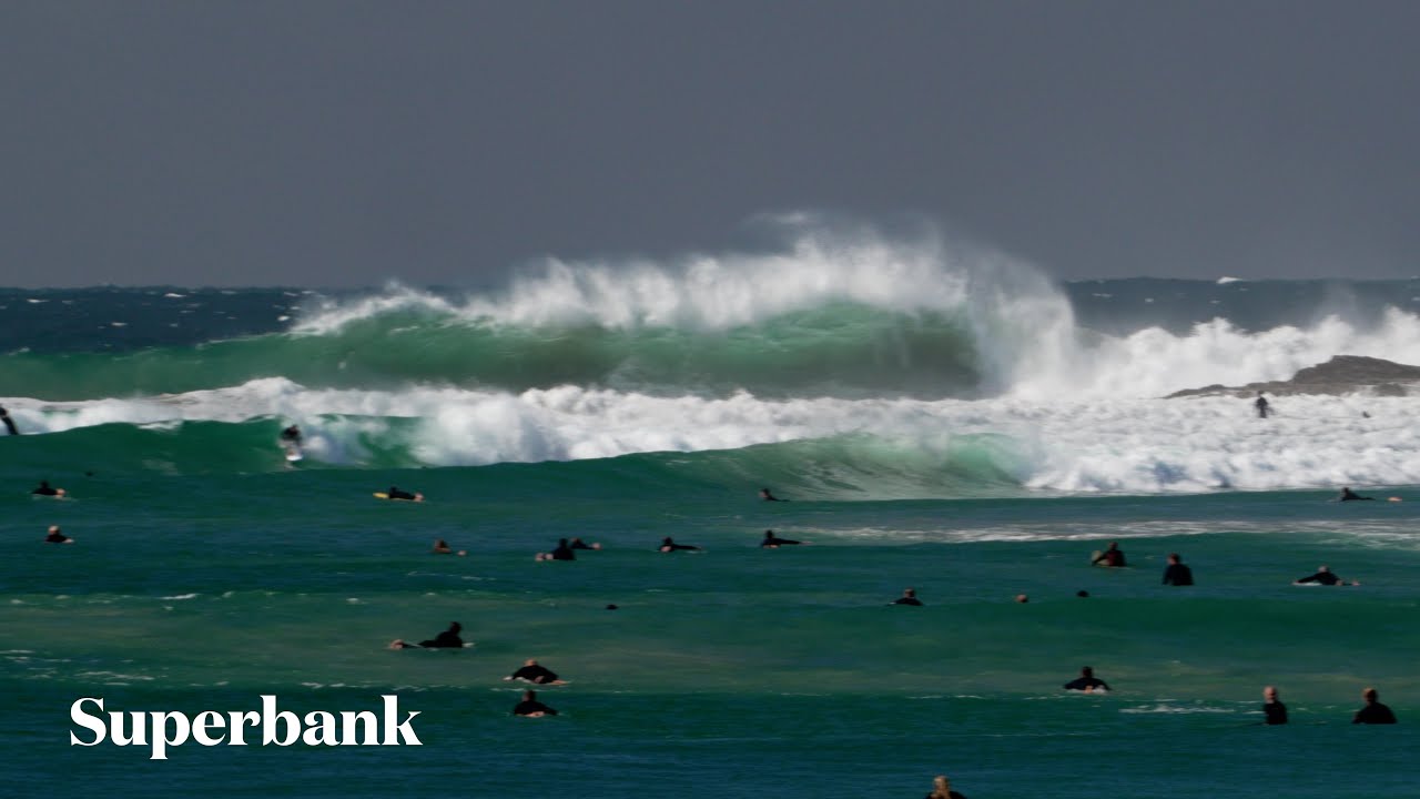 Superdank Superbank - August 2024
