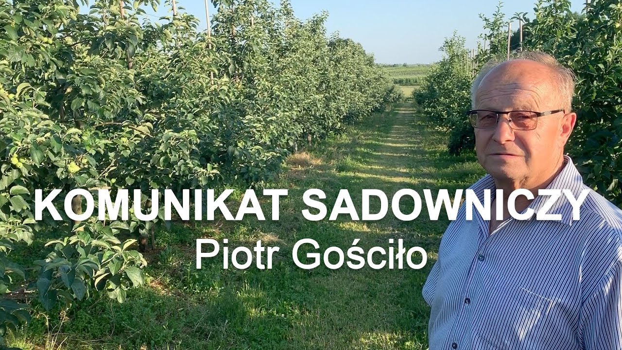 Komunikat sadowniczy #14 Alwa Ligol - Piotr Gościło 13.06.2019