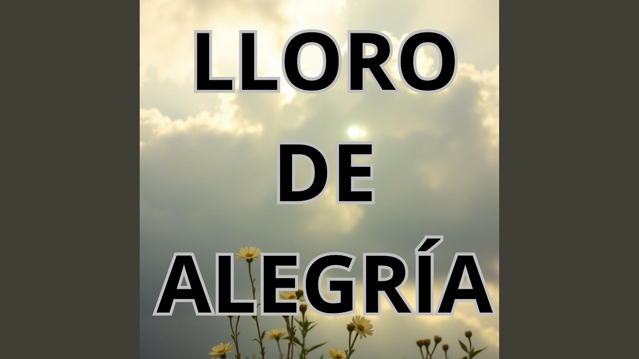 LLORO DE ALEGRÍA (Remix)