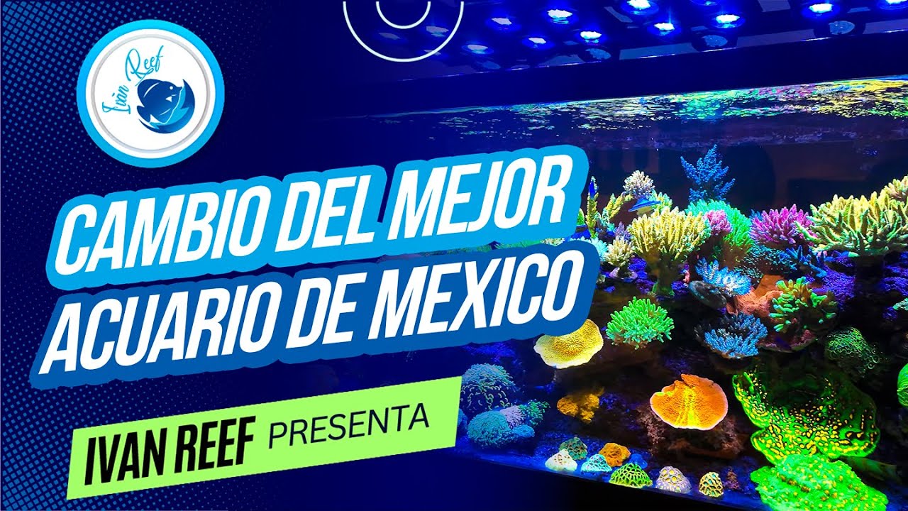 El primer acuario CADE en México