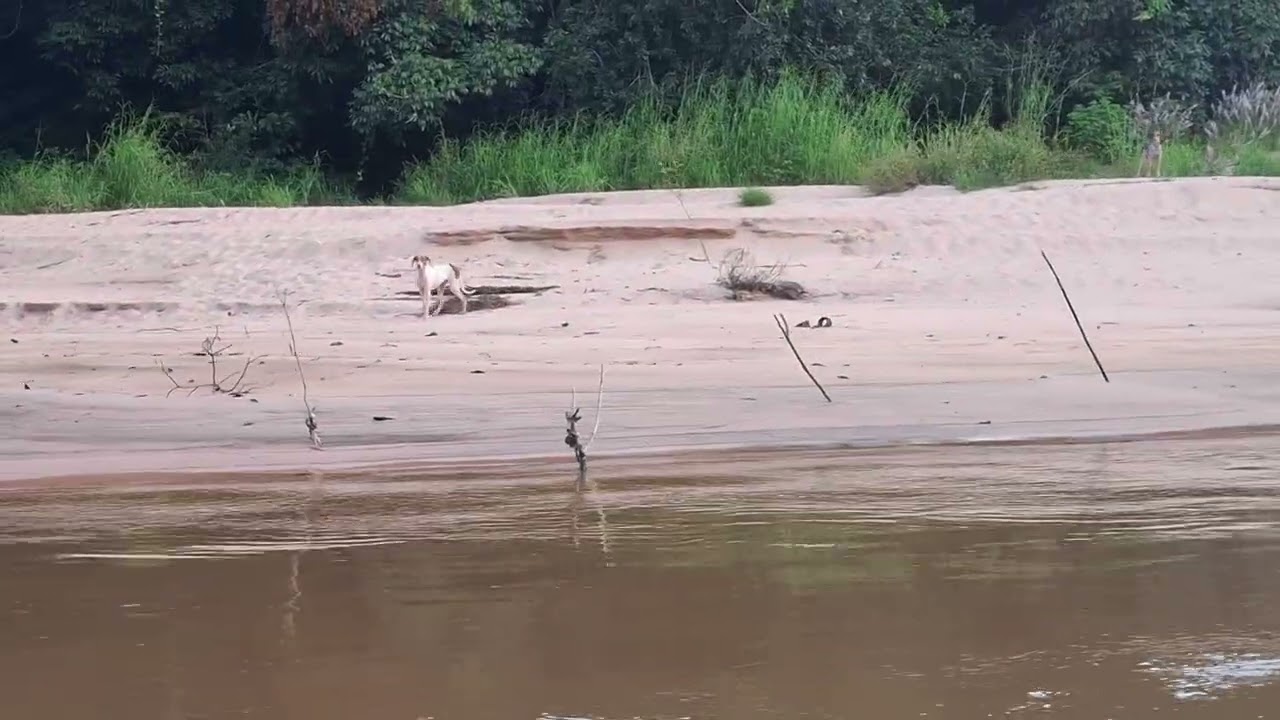 RIO DIAMANTINO 