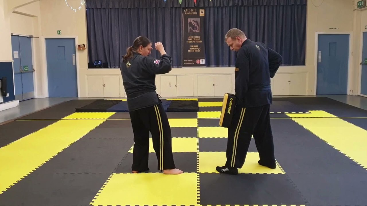 Video Syllabus 1 - Taijutsu Junior Workbook 1