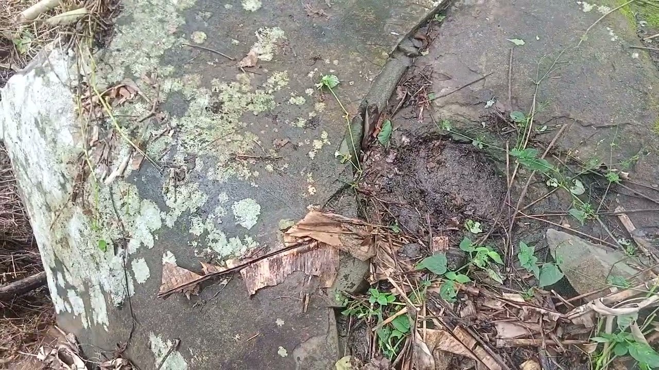 NAKUHANAN SA LOOB NG BATO NOONG 2003