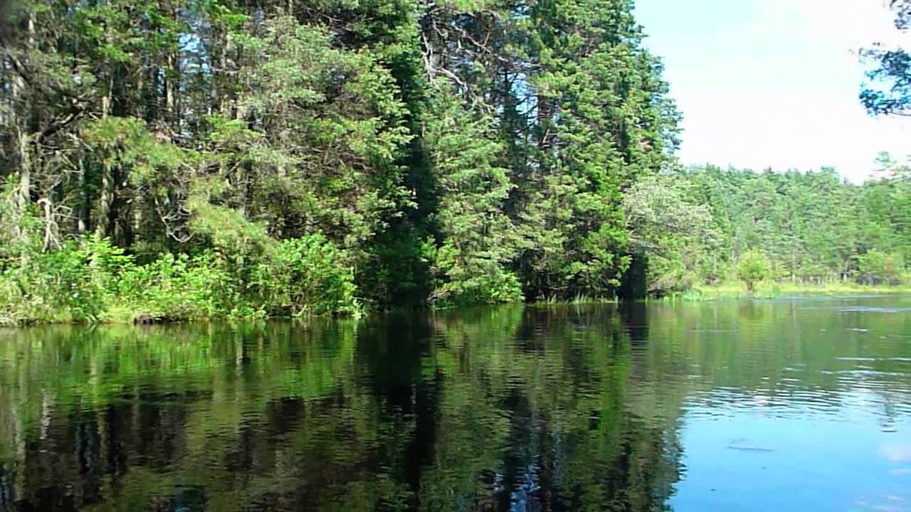 Oswego River Kayak Trip, NJ Pine Barrens
